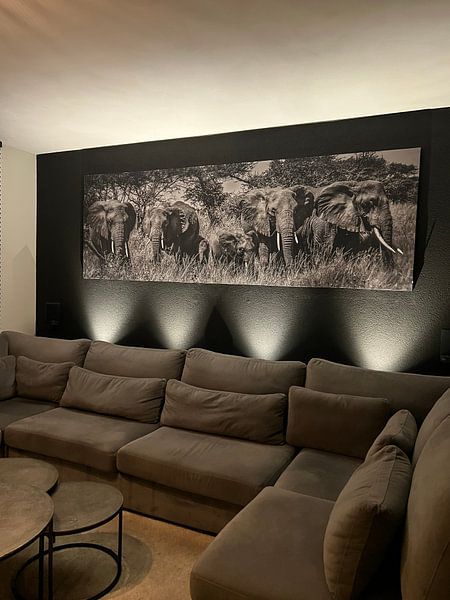 Bedrohliche Elefantenherde mit Jungtieren in Schwarz und Weiß