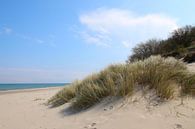 Strand im April von Ostsee Bilder Miniaturansicht