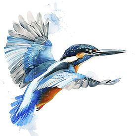 Aquarelle Martin-pêcheur en vol sur Christian Müringer