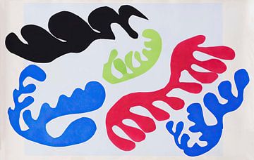 Henri Matisse - Jazz 19 The Lagoon by Peter Balan