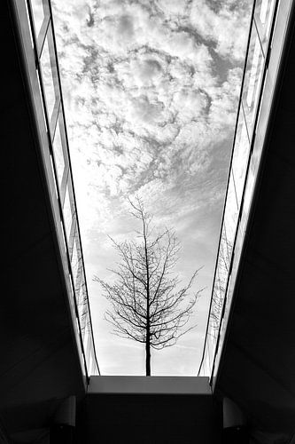 Melancholia - Utrecht