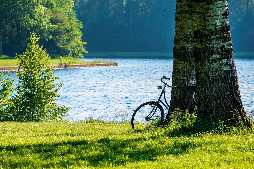 Hoornse Plas van Evert Jan Luchies