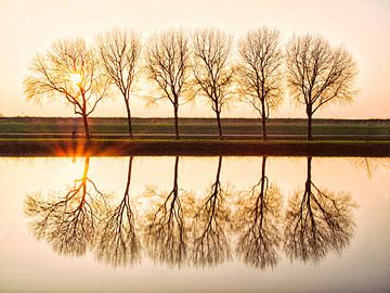 Wielrenner en Bomen tijdens Zonsondergang van Emre Kanik