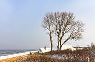 Ostseeküste in Ahrenshoop im Winter par Rico Ködder Aperçu