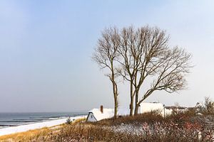 Ostseeküste in Ahrenshoop im Winter
