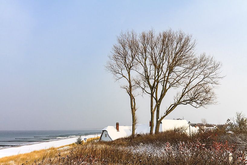 Ostseeküste in Ahrenshoop im Winter par Rico Ködder
