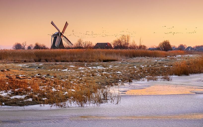 North mill Noorddijk by Marga Vroom