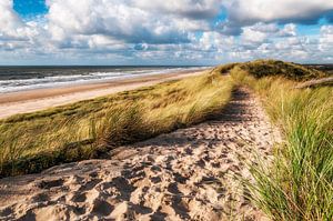 Chemin sablonneux à travers la dune de mer