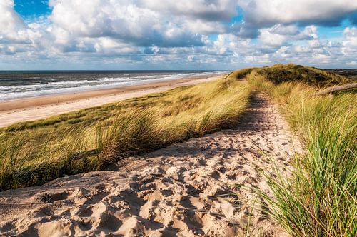 Sandy path across the sea dune