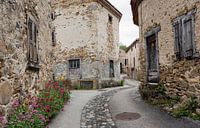 Auvergne VII