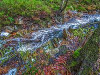 Ruhig fließender Fluss zwischen den Bäumen.