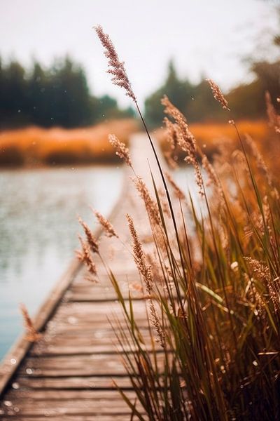 By The Lake by Treechild
