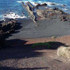 into the sea by astrid van veldhuijzen