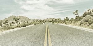 Highway & Joshua Trees | Vintage Panorama von Melanie Viola