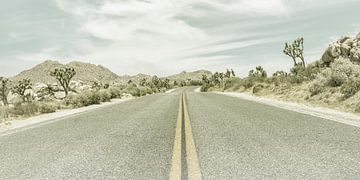 Highway & Joshua Trees | Vintage Panorama van Melanie Viola