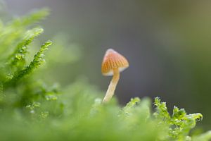 Der Zauber des Herbstes