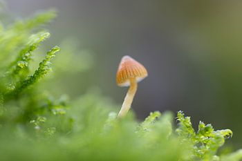 Der Zauber des Herbstes