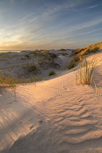 De Duinen aan de Noordzeekust kleuren goud door de ondergaande zon