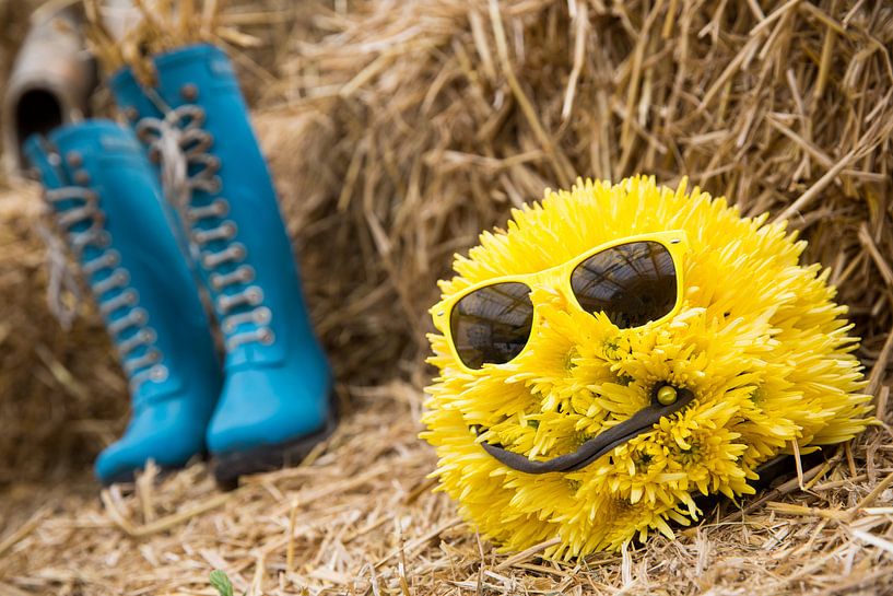 Lief geel bolletje bloemen mannetje met blauwe kaplaarzen op een hooiberg van Dexter Reijsmeijer