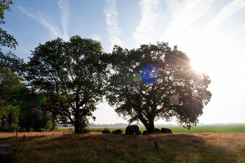 Dolmen bed D42 by Richard Wareham