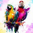 POP ART Papegaaien kleurrijke klodders street art graffiti woonkamer spuitverf aquarel coole dieren van Julieduke thumbnail
