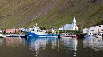 Vissershaventje in IJsland