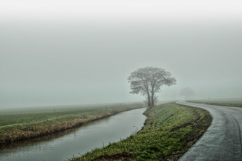 The loneliness by Robert Snoek