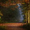Toneel van de Herfst van Bob Vandenberg