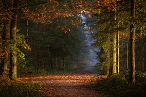Toneel van de Herfst