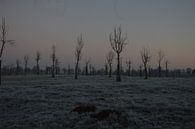 winter op het platteland van Fraukje Vonk thumbnail