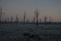 winter op het platteland