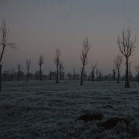 winter op het platteland van Fraukje Vonk
