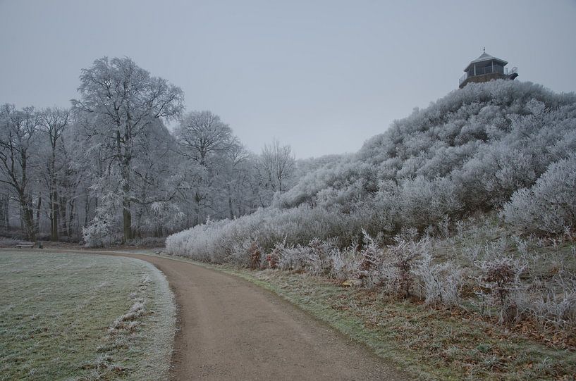 Seringenberg in de winter van Remco Swiers