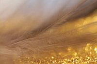 Golden bird