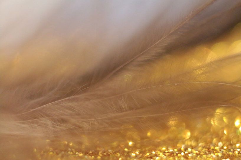 Golden bird von Kvinne Fotografie