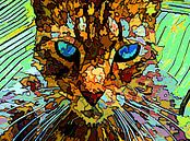 De Enigmatische Kat van McRoa thumbnail