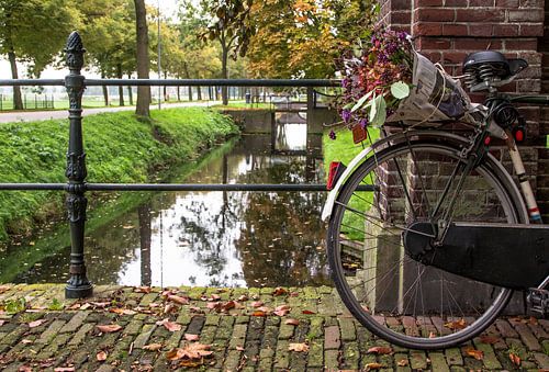 Ruiker bloemen op bagagedrager van fiets in Middenbeemster