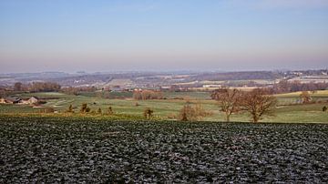 Harles, Mamelis by Rob Boon