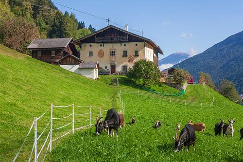 Neustift im Stubaital, Stubaital,