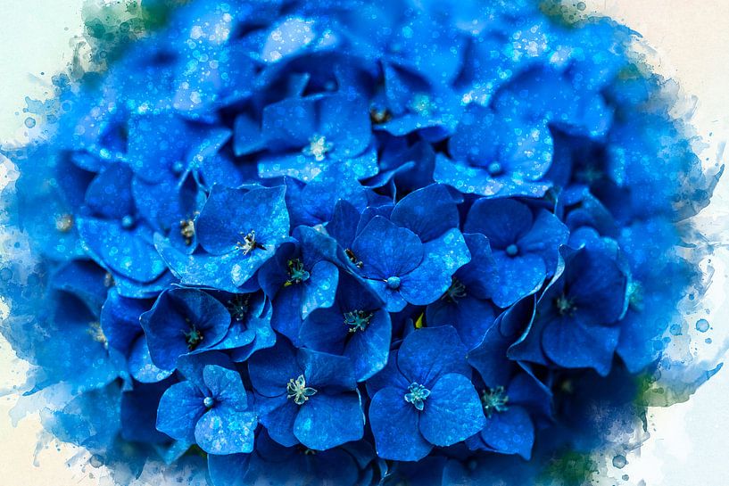 Blauwe hortensia uit eigen tuin (mixed media) van Art by Jeronimo