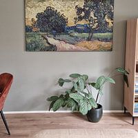 Photo de nos clients: Paysage au crépuscule, Vincent van Gogh, sur art frame