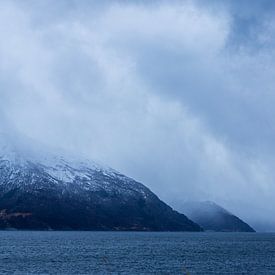 Nebliger Fjord von Coen Feron