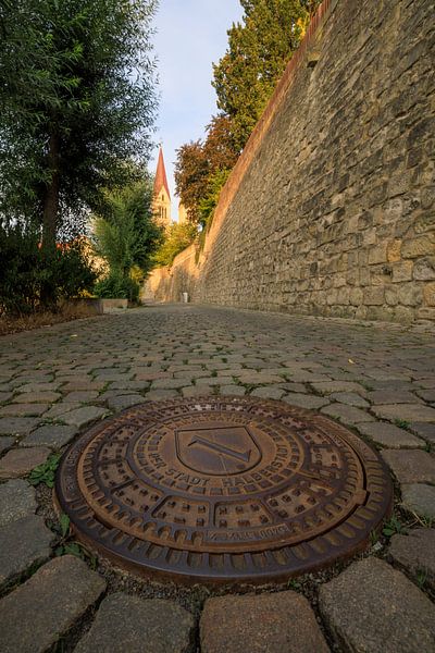 Stadt Halberstadt aus der Froschperspektive von Horst Husheer