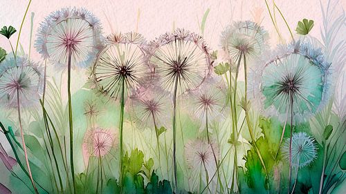 Dandelions in het gras (uitgebloeide paardenbloemen)