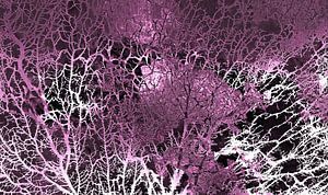 Skandinavischer Herbst Wald Abstrakt