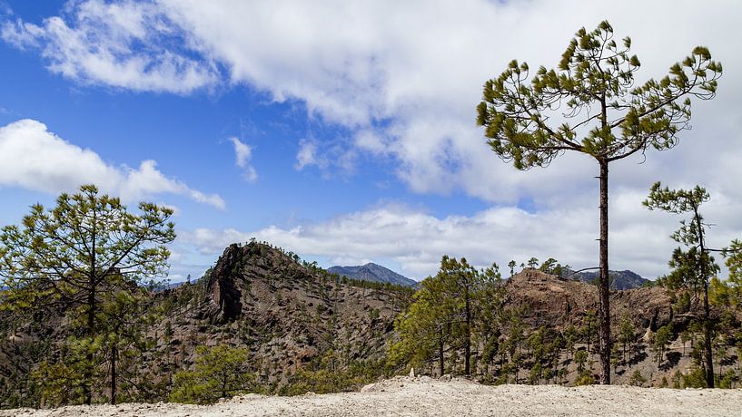Beautiful scenery around San Bartolomé de Tirajana, Gran Canaria, Spain. by Marjolein Zijlstra