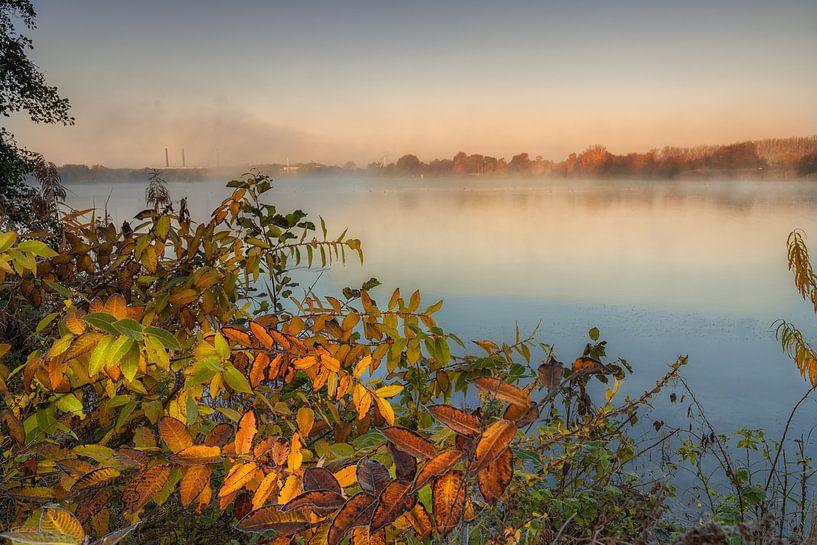 Matinée d'automne à l'Allerpark par Marc-Sven Kirsch