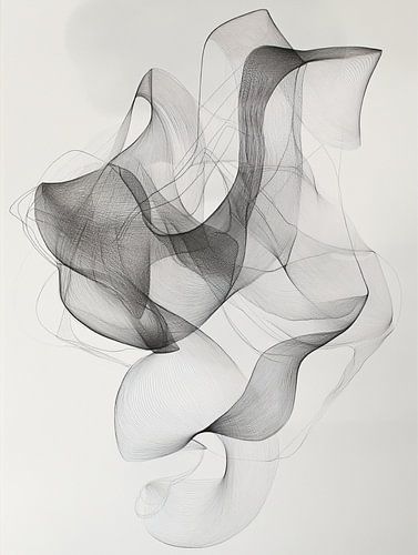 Œuvre d'art abstraite en noir et blanc représentant des lignes tourbillonnantes