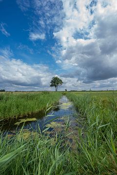 Drenthe - Polderzicht sur Frank Smit Fotografie