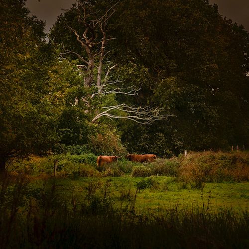 Dutch landscape in Drenthe with Scottish Highlanders in the style of the old masters in the style v